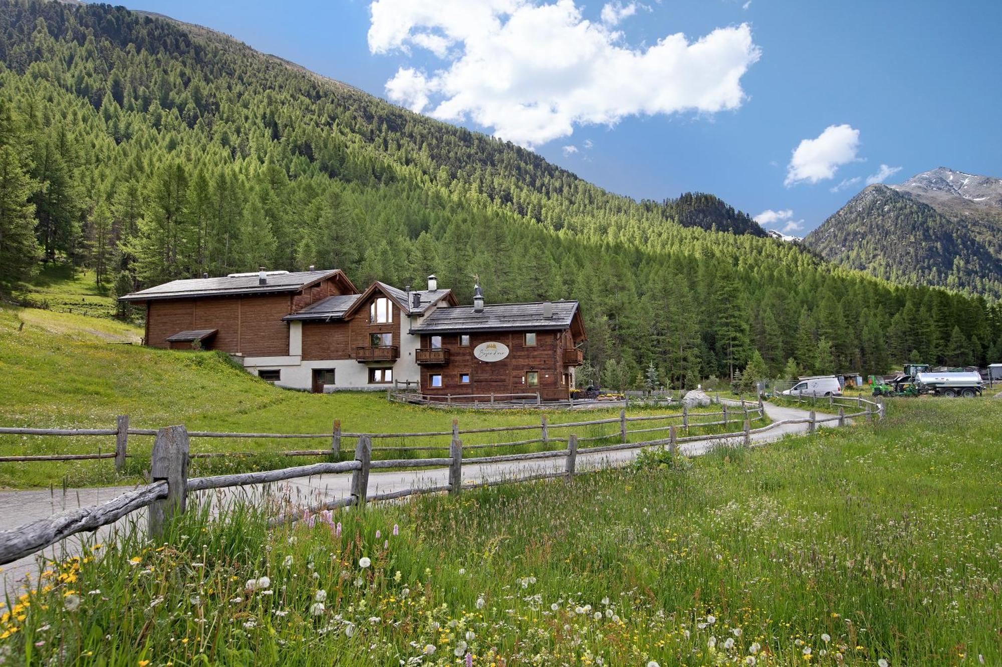 Апартаменти Agriturismo Bosco D'Oro 1 Лівіньо Екстер'єр фото